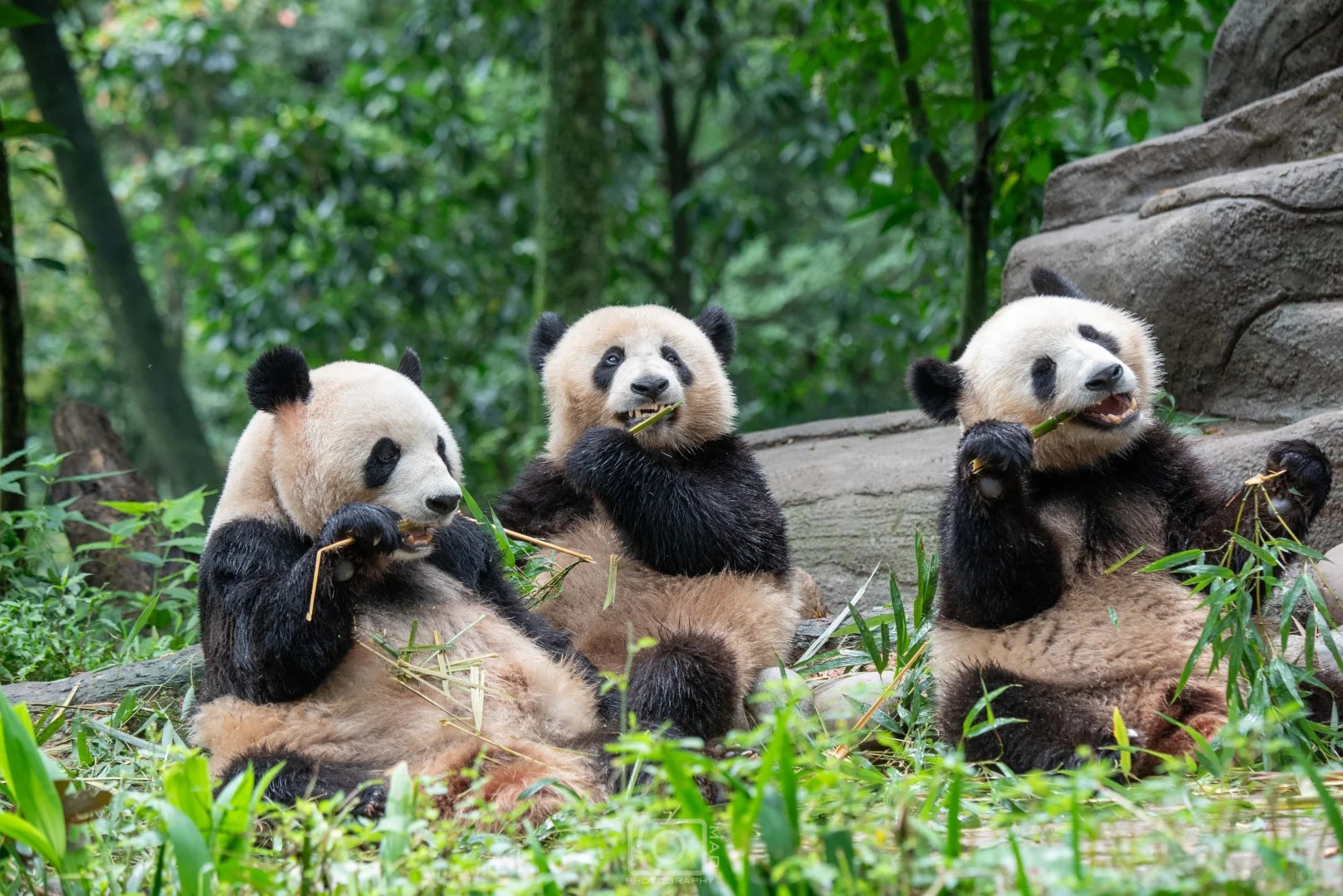 Sichuan