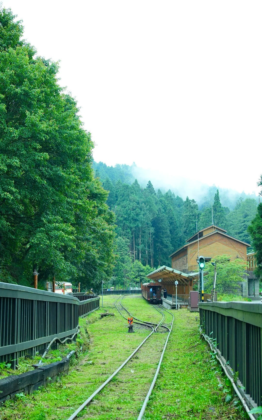 阿里山森林游乐区
