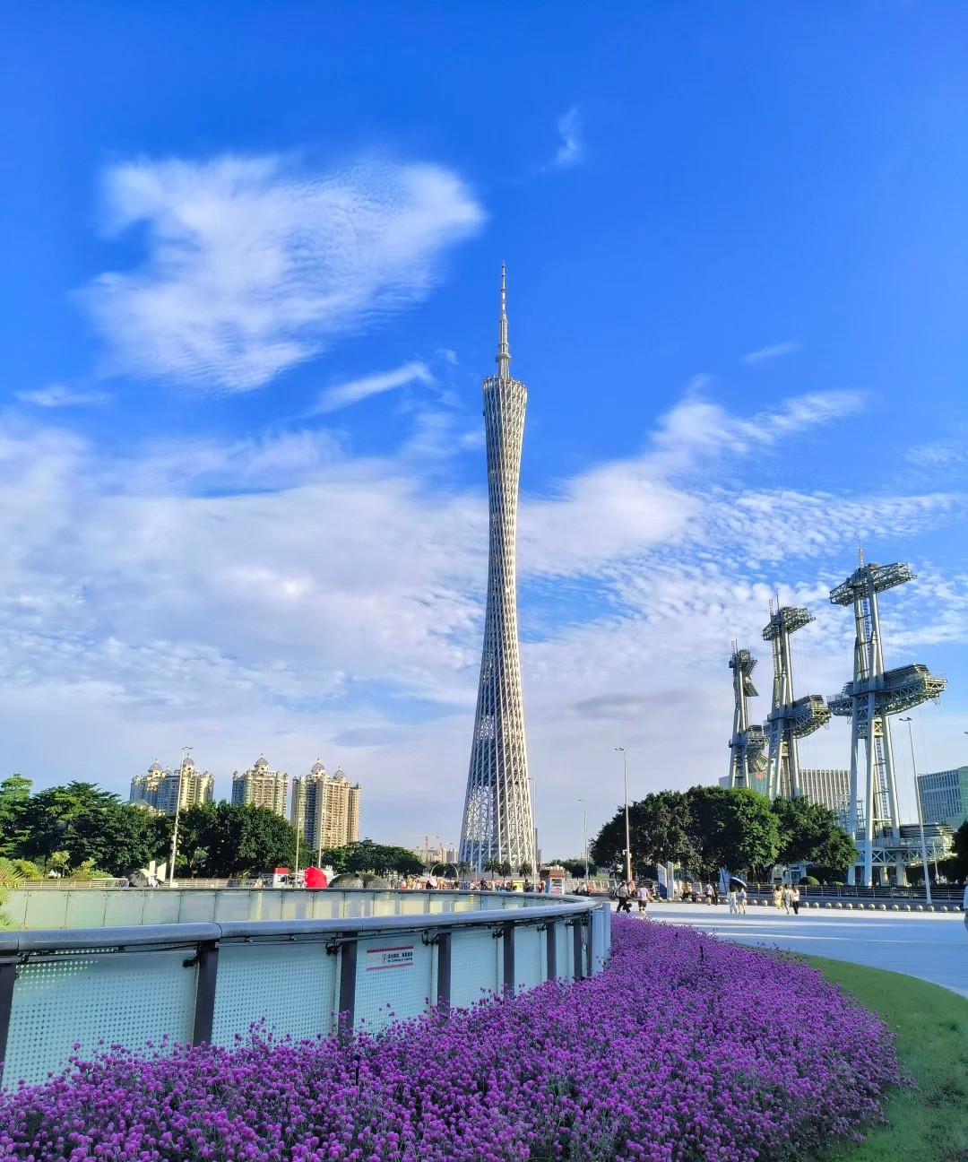 广州塔 风光 6