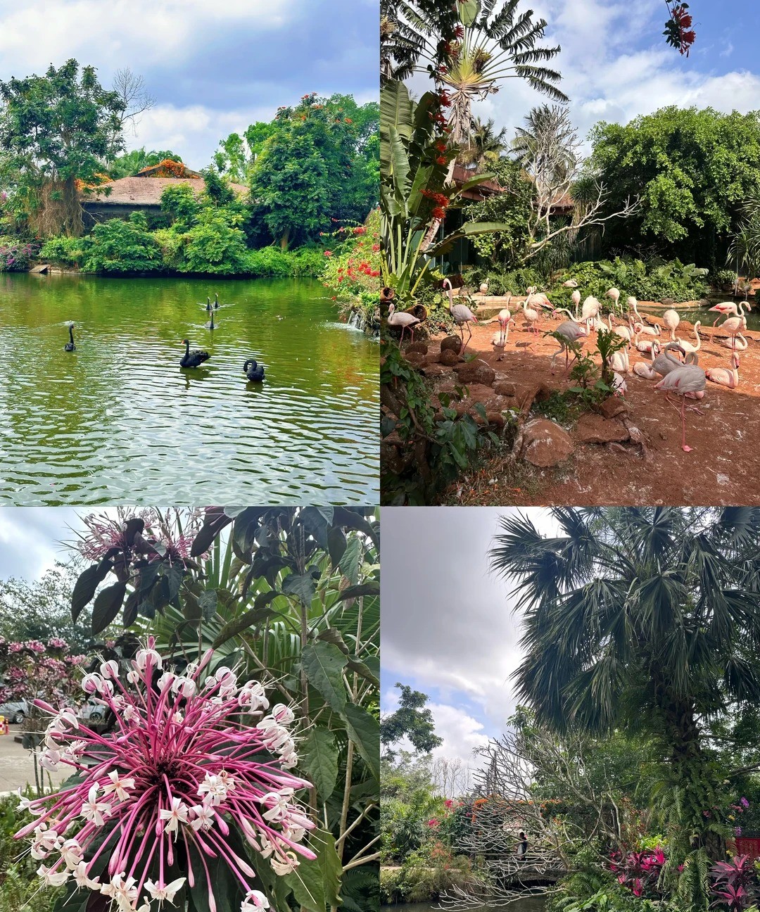 海南热带野生动植物园