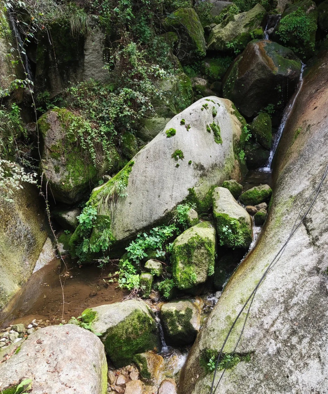 华山风景名胜区