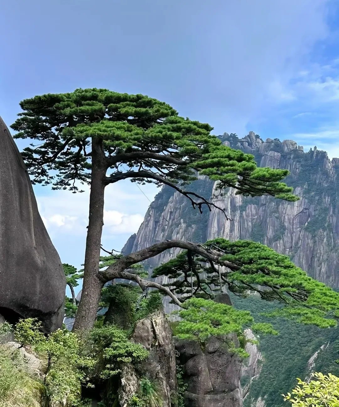 黄山 风光 6