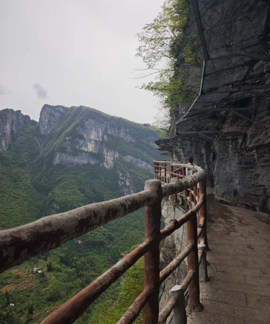 鹿院坪 风光 4