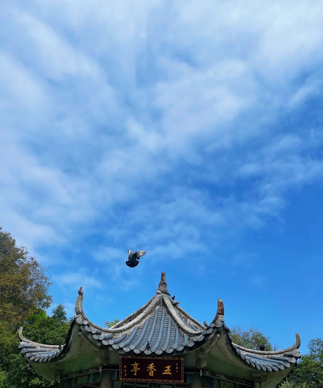 南华禅寺