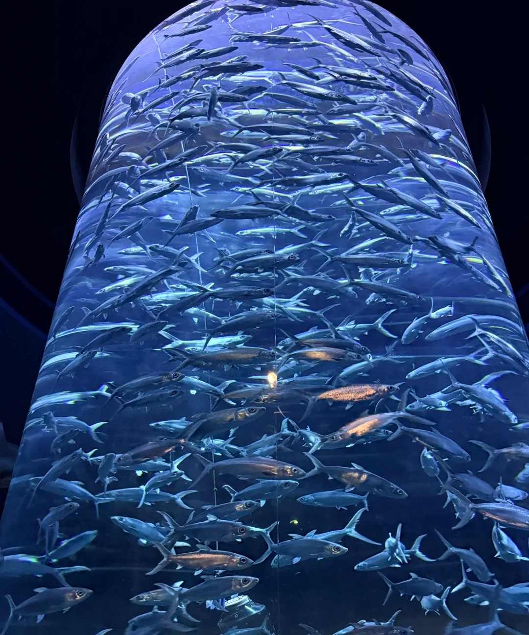 香港海洋公园
