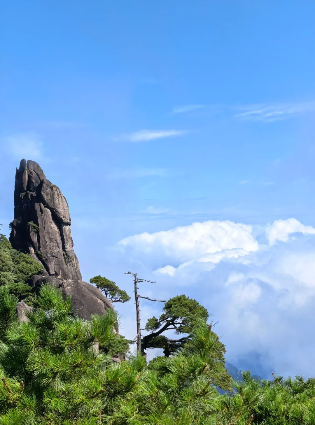 Mount Sanqing 风光 4