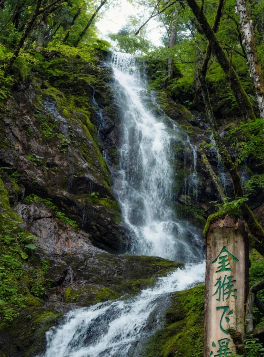 神农架 风光 2