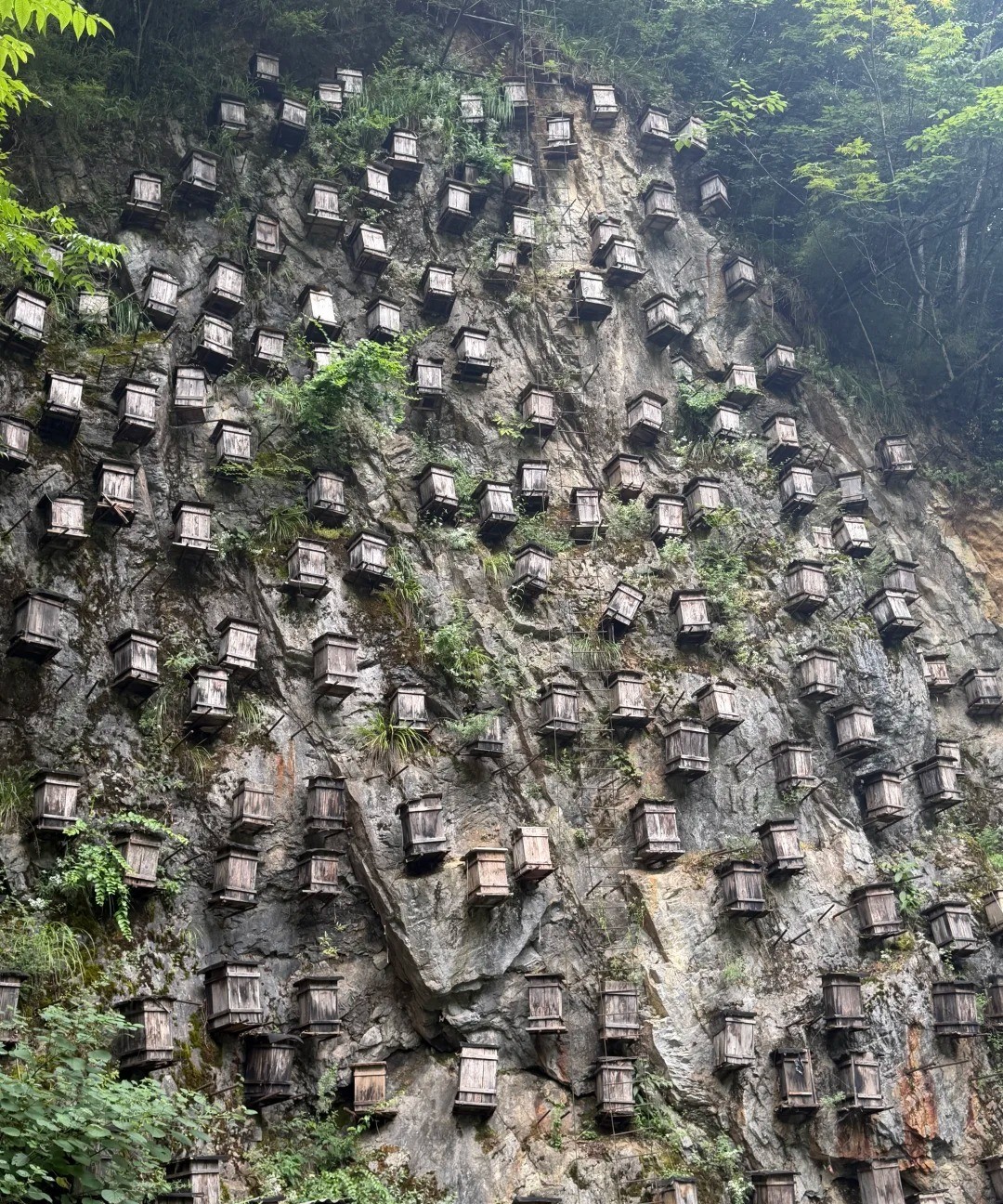 神农架 风光 5