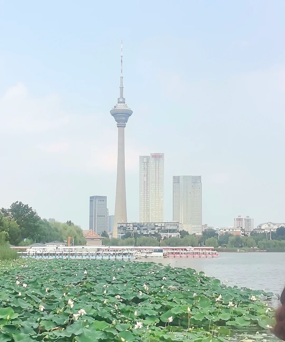 Tianjin TV Tower 风光 5