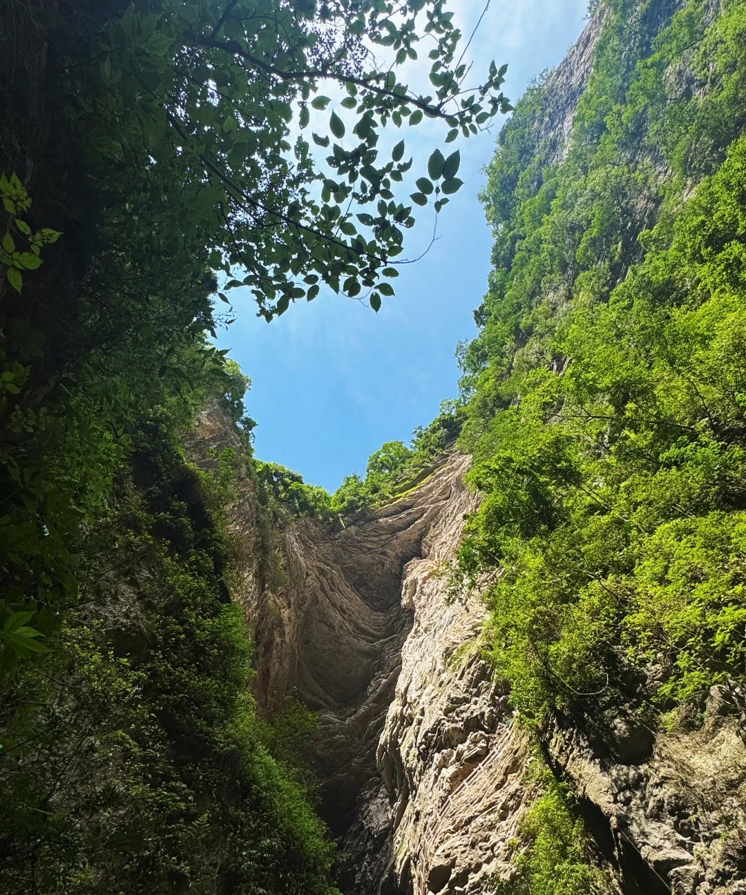 Wulong Karst Tourism Area 风光 6