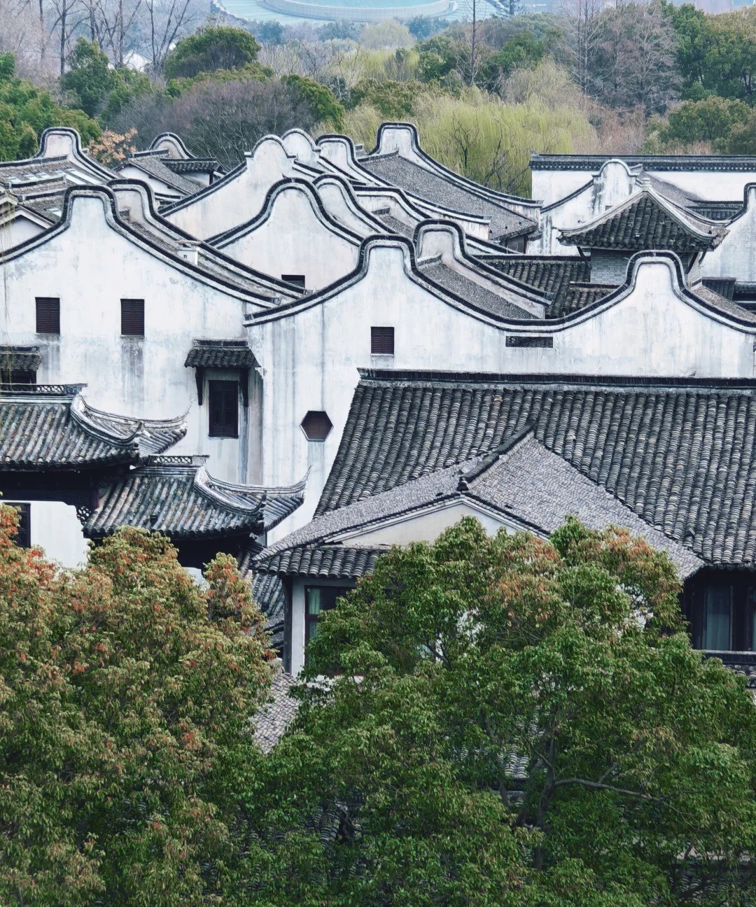 乌镇 风光 6