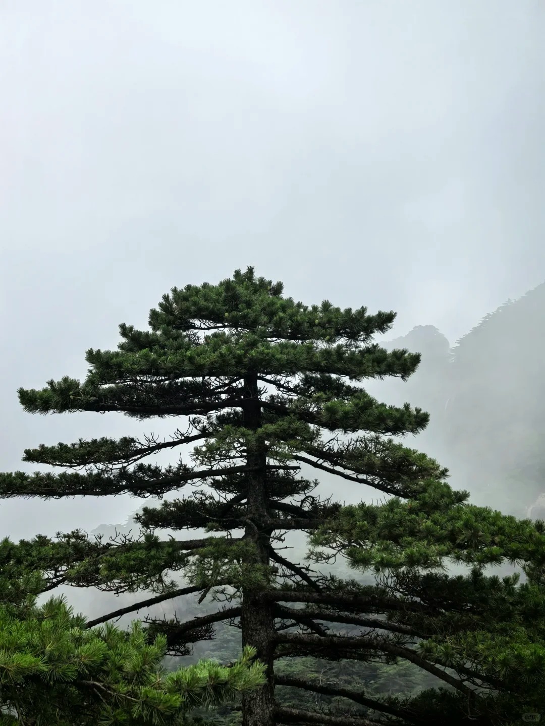 安徽风光 8
