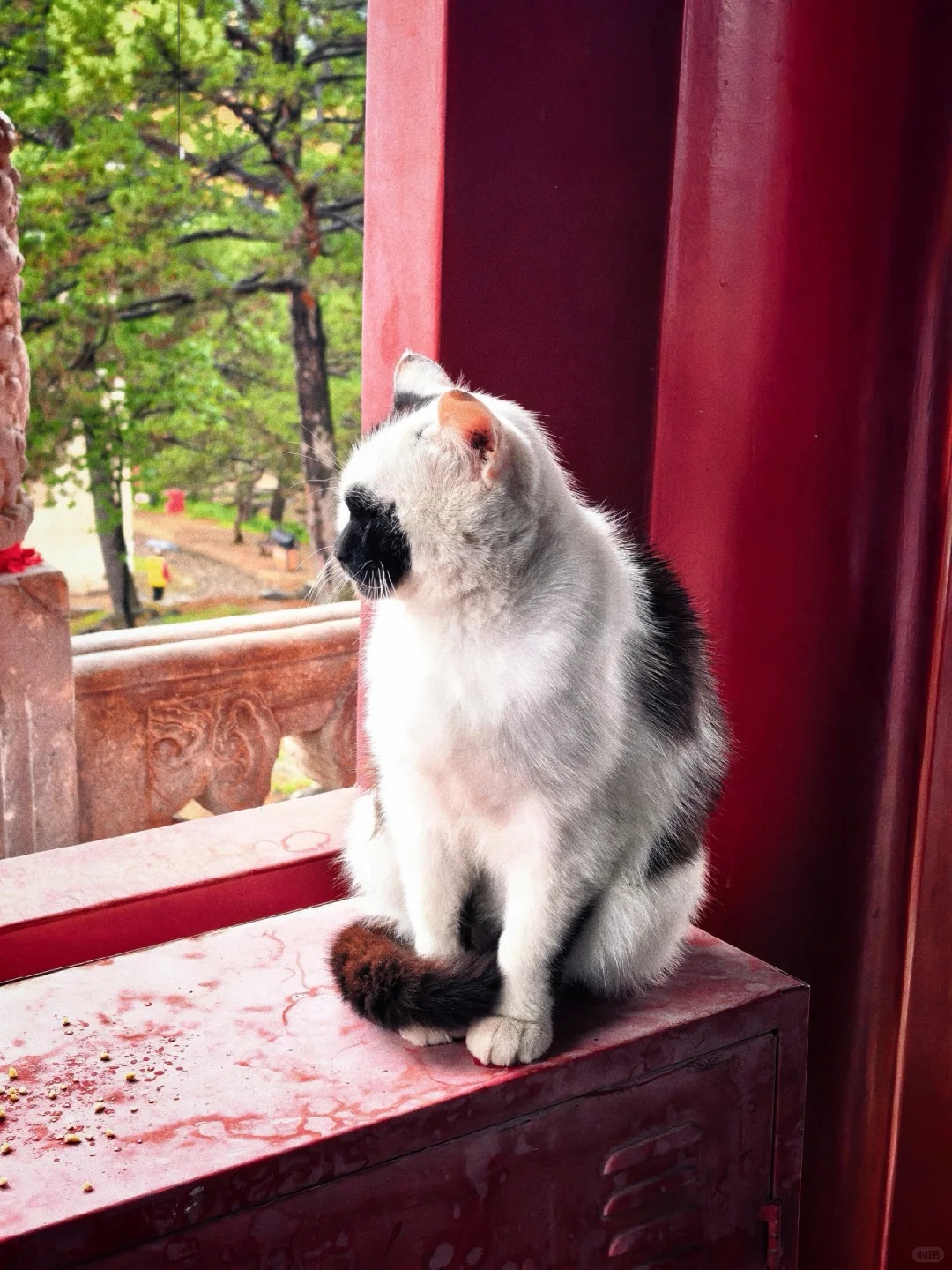 Hebei 风光 6