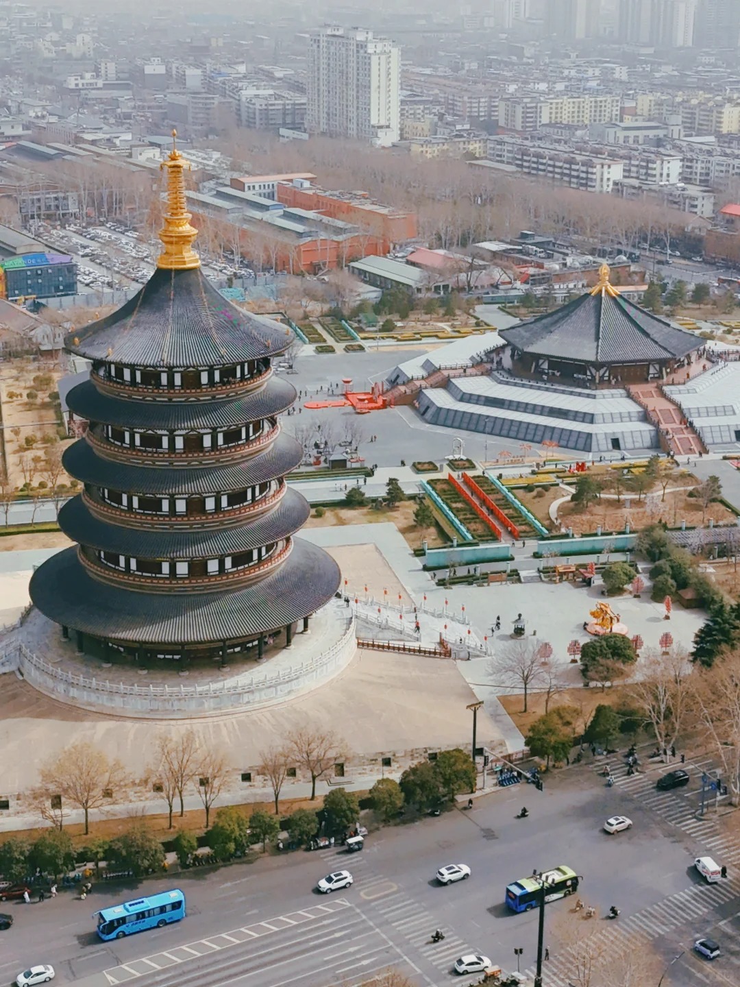 河南 张照片 11