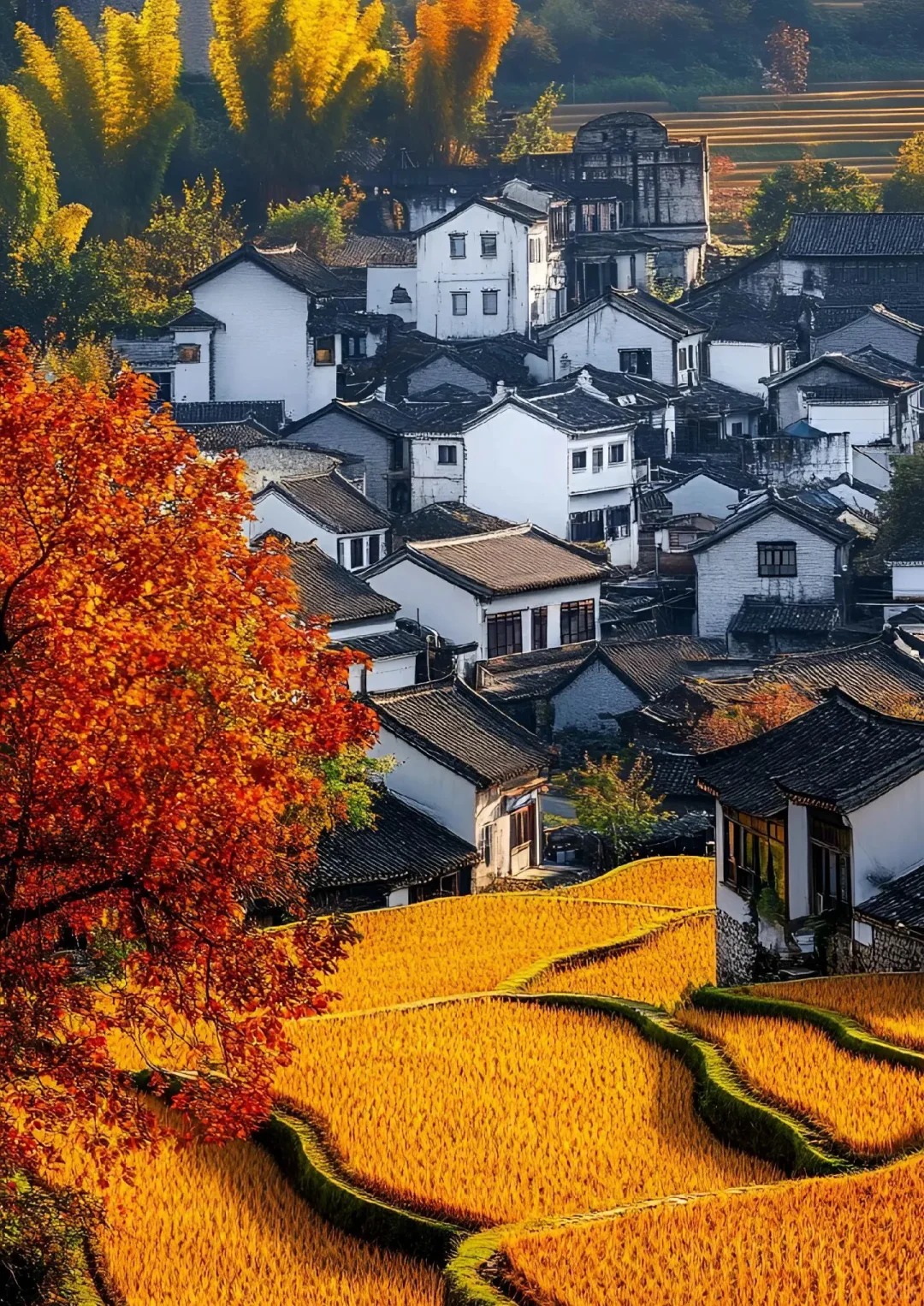 Jiangxi 风光 3