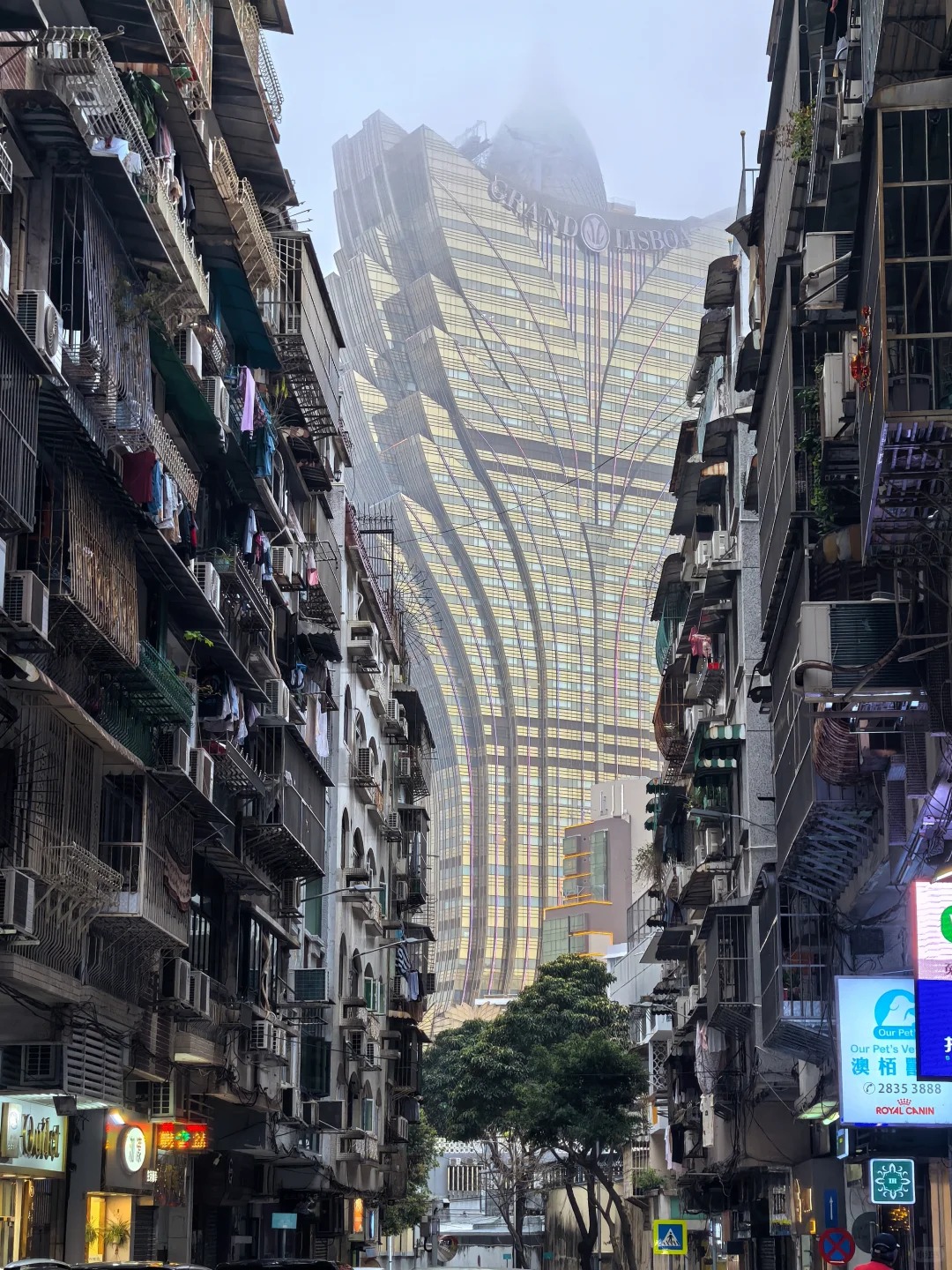 Macao 风光 2