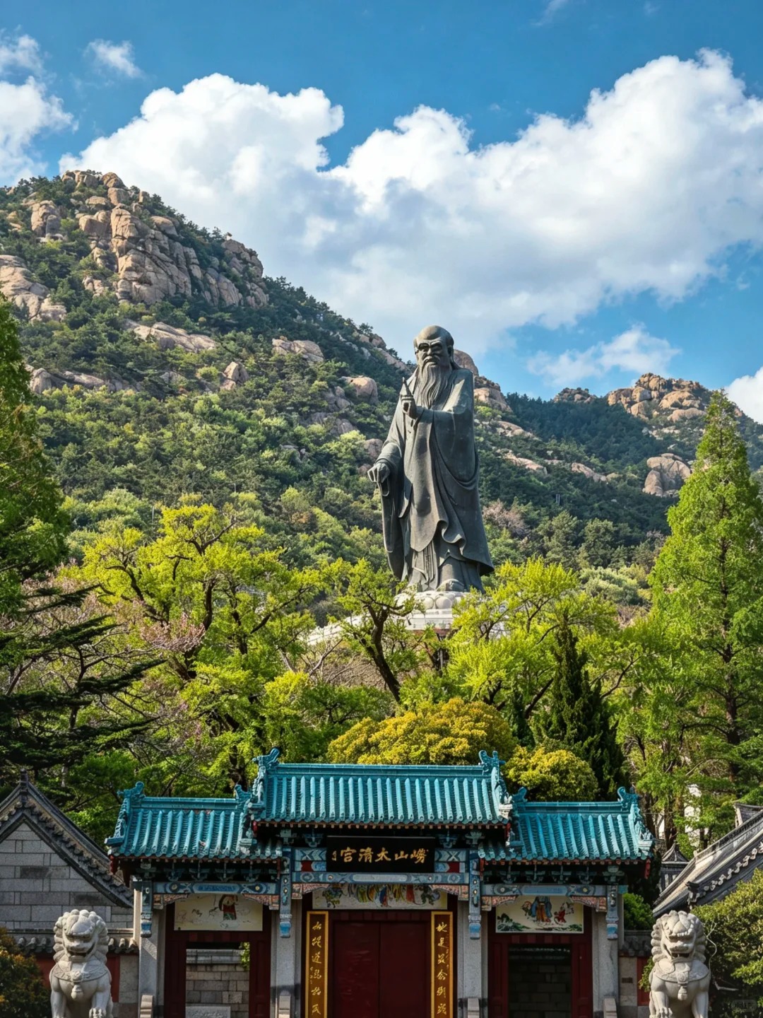 山东 张照片 9