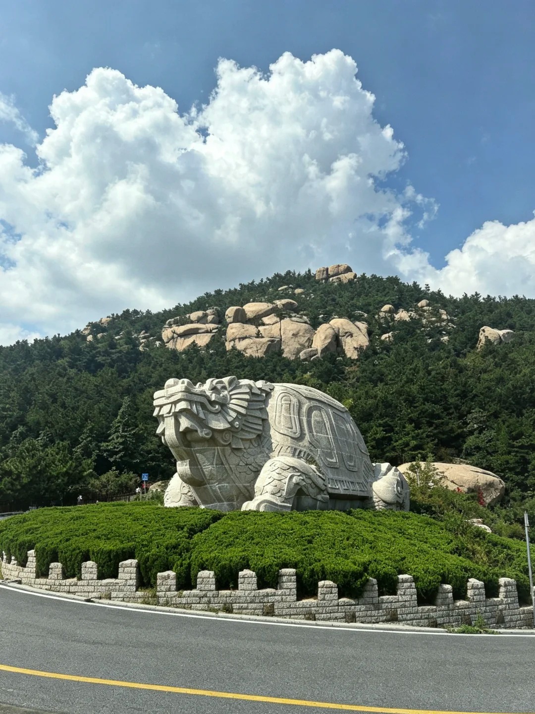 山东 张照片 10