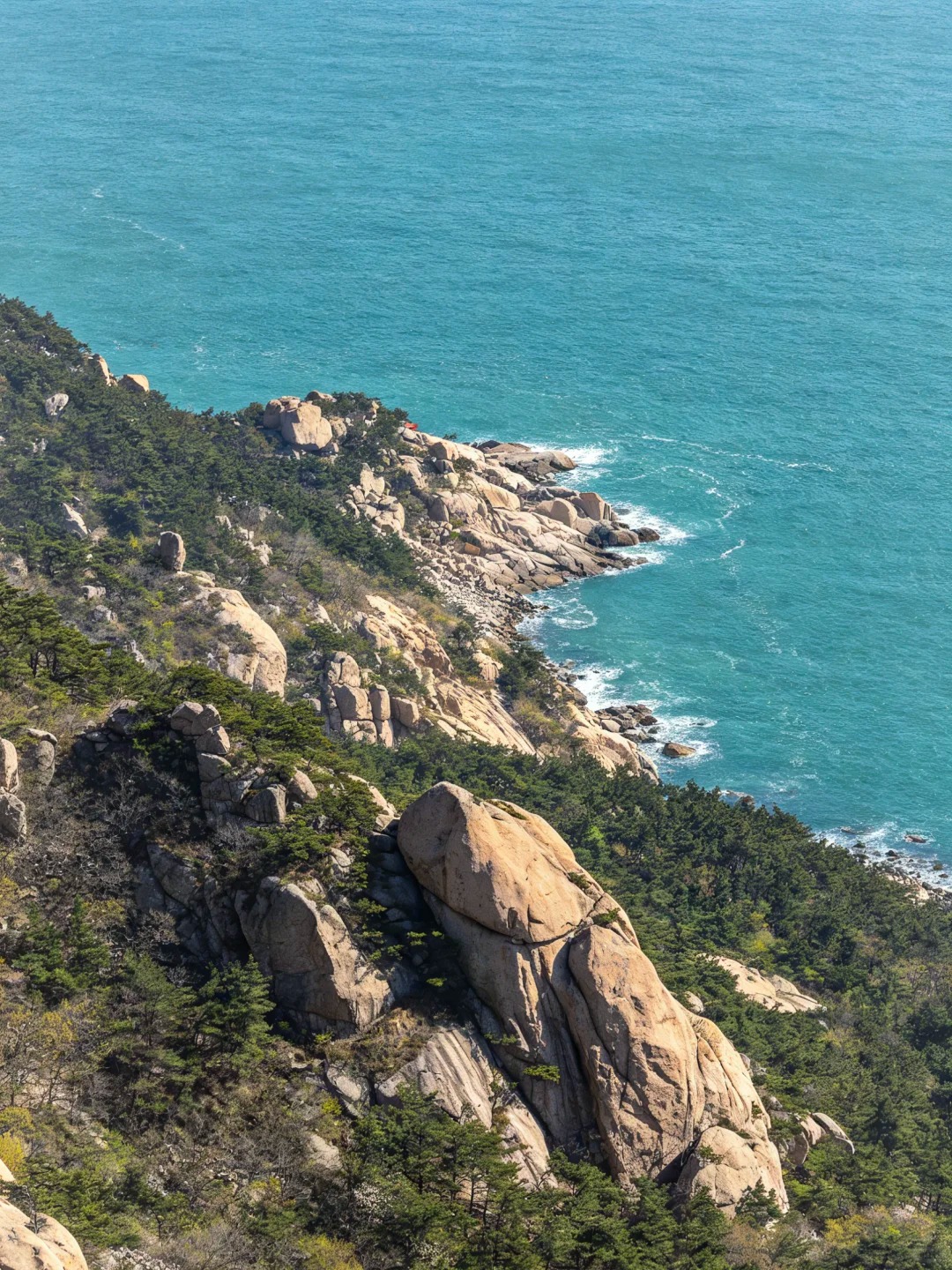 山东 张照片 11