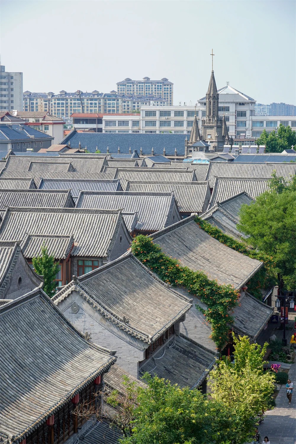 中国山东-Visitcn-03