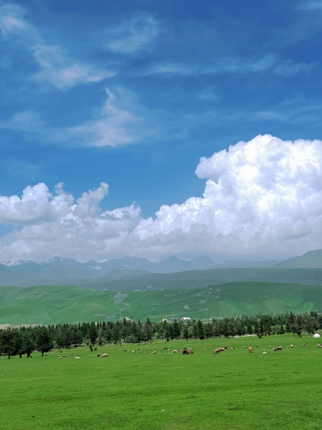Xinjiang 风光 4